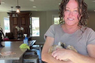 Thoughts on Rabbit Pals