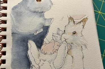 More bunny drawings!