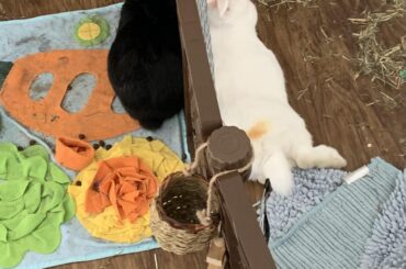 bonding question