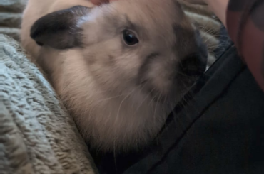 He's warming up to me