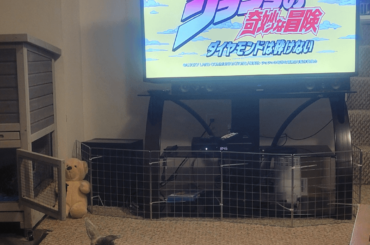 Cosmo and I enjoying peak anime