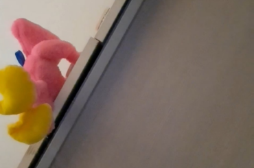 fucking rabbit notices the camera and starts cleaning himself, too illegal.