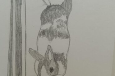 I've discovered a new love: making silly sketches of my buns (swipe for the reference)