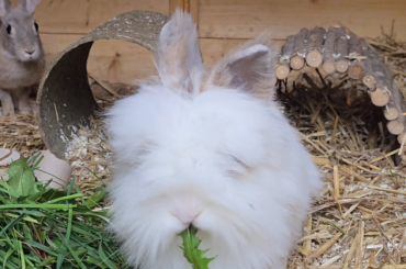 Mom look at me eating!