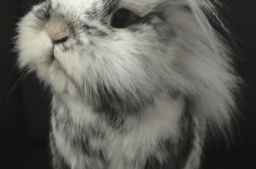 I love the comments, he grew a few feet by hearing them