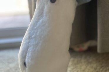 “They will never find me here!”