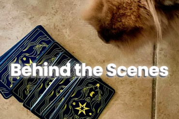 A Look at Behind the Scenes with Bambi 🥕