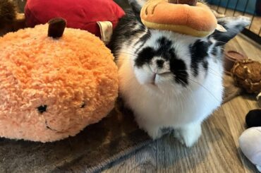 Tiny Pumpkin