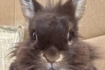 Dr. Bigwig MD would like to remind everyone to stay warm as temperatures drop. And also that he would like a fruit basket.