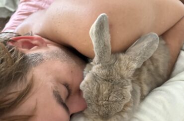 Dolly has become a huge cuddler in her elder years.