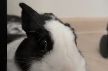 motion-sensing ear
