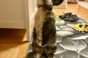 Somebun ate drywall and yarn and got a stomache ache