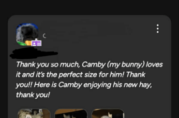 Special needs bunny
