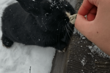 Feeding the void floof by hand.