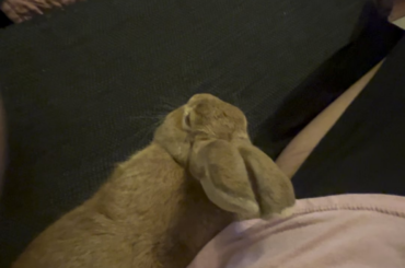 I’ve got one sweet snuggle bun and one ominous blob.