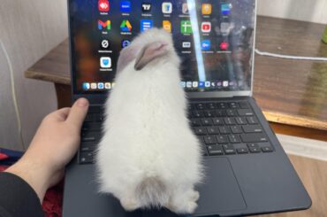 Working with my little one