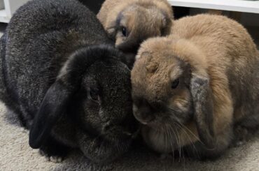 Family photo