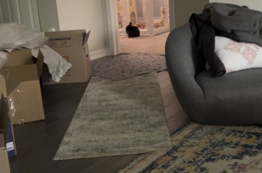 Miss Tiggles running to me from her new bedroom in our new home.