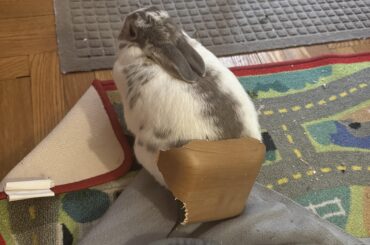 I have no idea what’s going on here…but he seems ok with it…