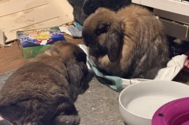 I’m a tad bit worried about them and what they’re plotting…