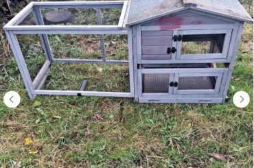 Is this cage ok for a temporary cage??