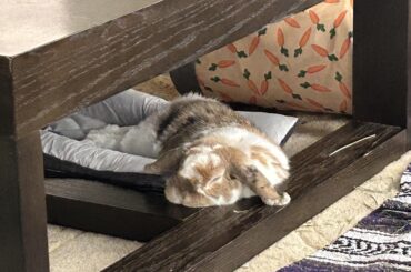 Butt in bed, head on the hard table