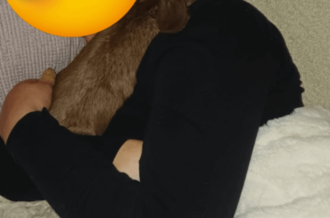 Cuddles