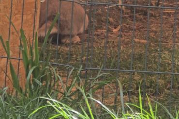 Her first flop