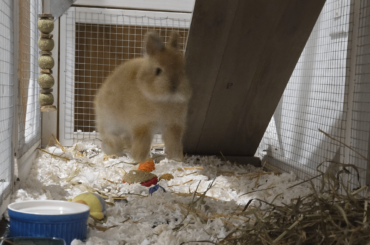 caught mid binky 😆