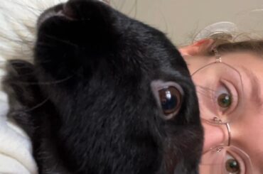 Shame Mama Mia. She just stole parsley straight from her kid’s mouth. What kind of mother does that?