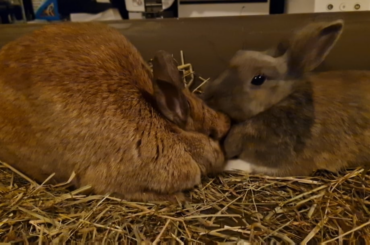It was so spooky for Molly, but they had a great second date with lots of kisses and dinner together 🥰