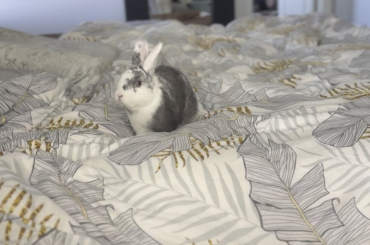 What is he doing?