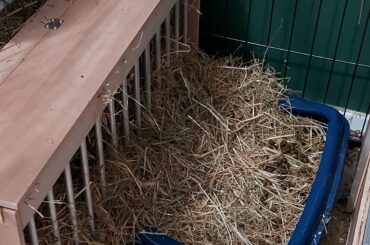 Does anyone have any advice to share on hay-waste due to pulling when eating?
