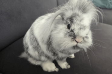 He has something to tell you!