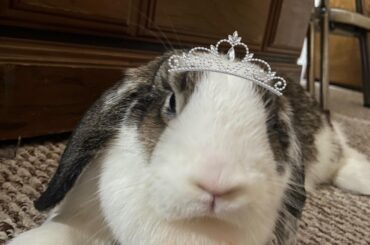 Princess Banjo