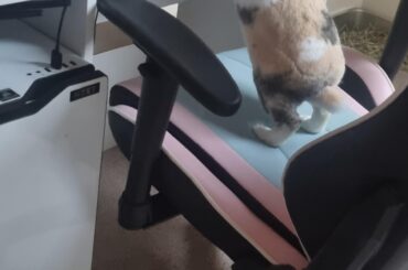 Milka be gaming