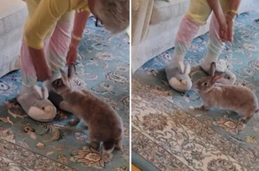 "wtf is this??"