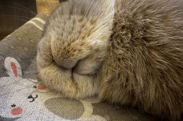 Mouf