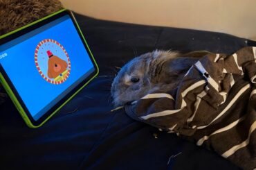 My little disabled guy watchin’ some Hey Duggee