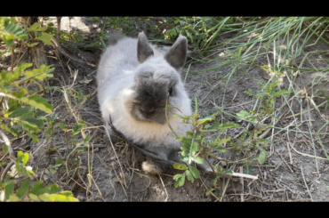 The Best Reason to Have an Herb Garden