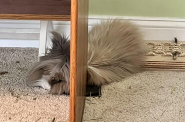 Fabio’s butt is up on the platform, and he’s smushed himself in between tables.