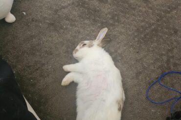 Napped so hard she went to another dimension