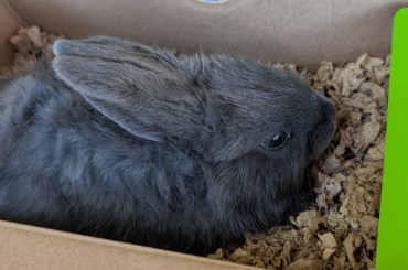 Second chance success--thank you!