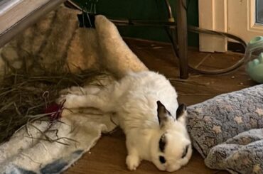 Tile better then bed