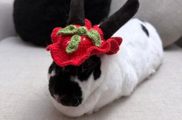crocheted tuba a strawberry hat 🍓