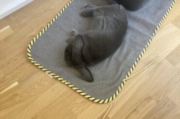 Working from home
