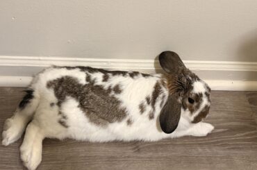 Bun and I at work