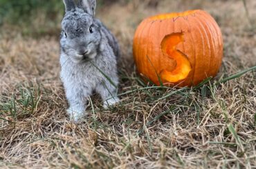 Early Halloween Shoot for Sputnik🫶🫶