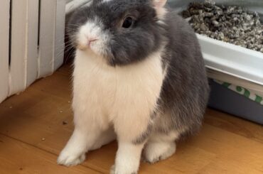 tiny brain overload from thinking too much about where to poop 😂
