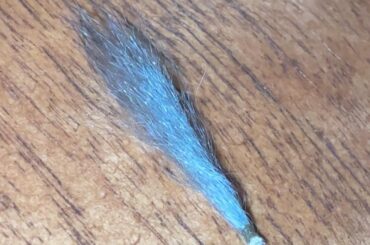 Does anyone else’s bunny like to eat these ? 😭😭
